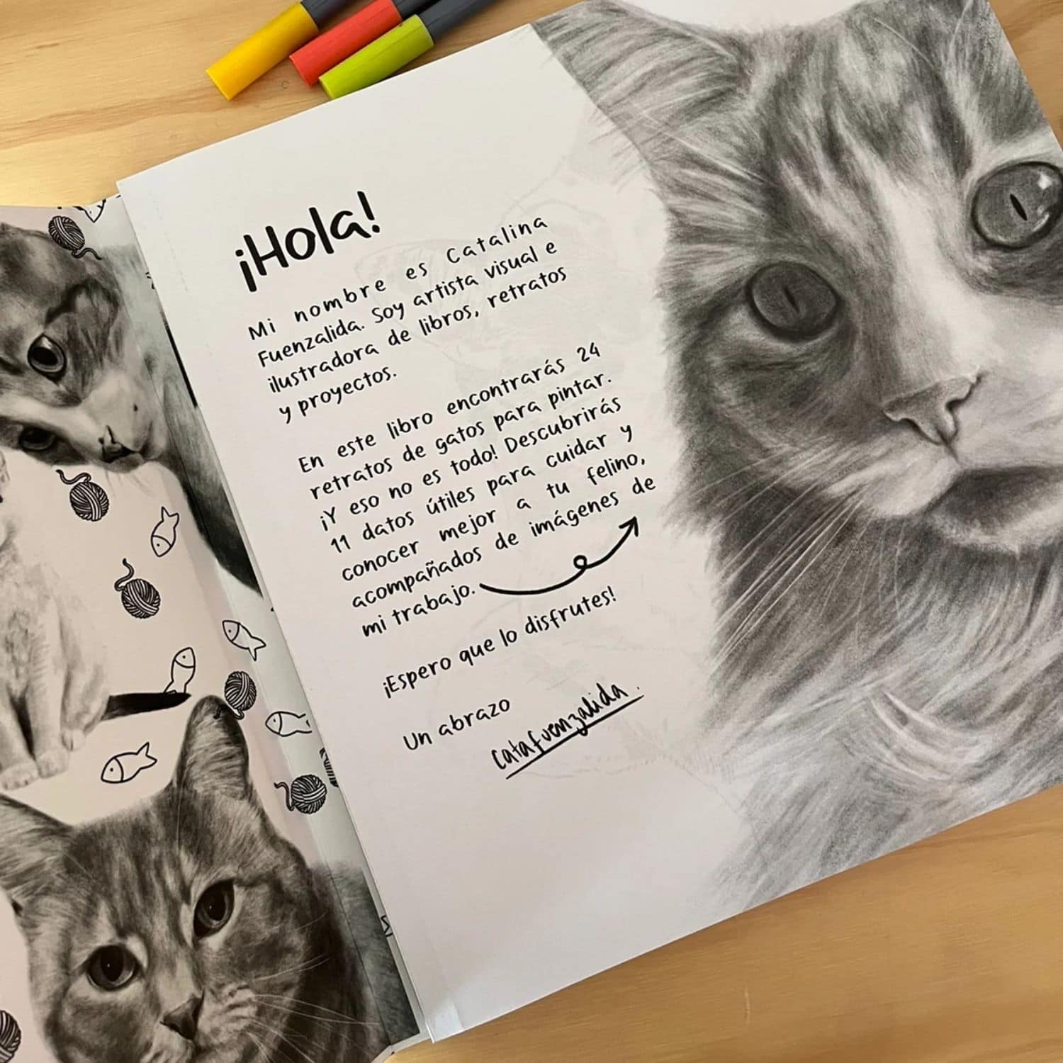 Gatos - Cata Fuenzalida - Image 2