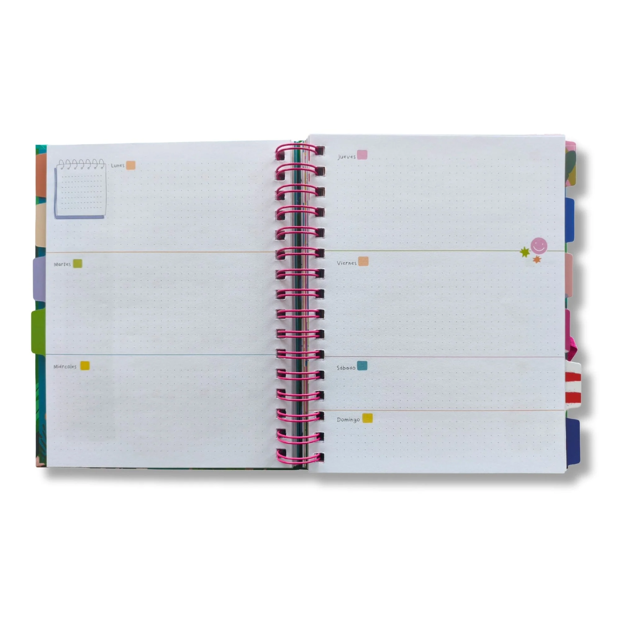 Artel - Planner 12 Meses Dani Blanq - Image 3