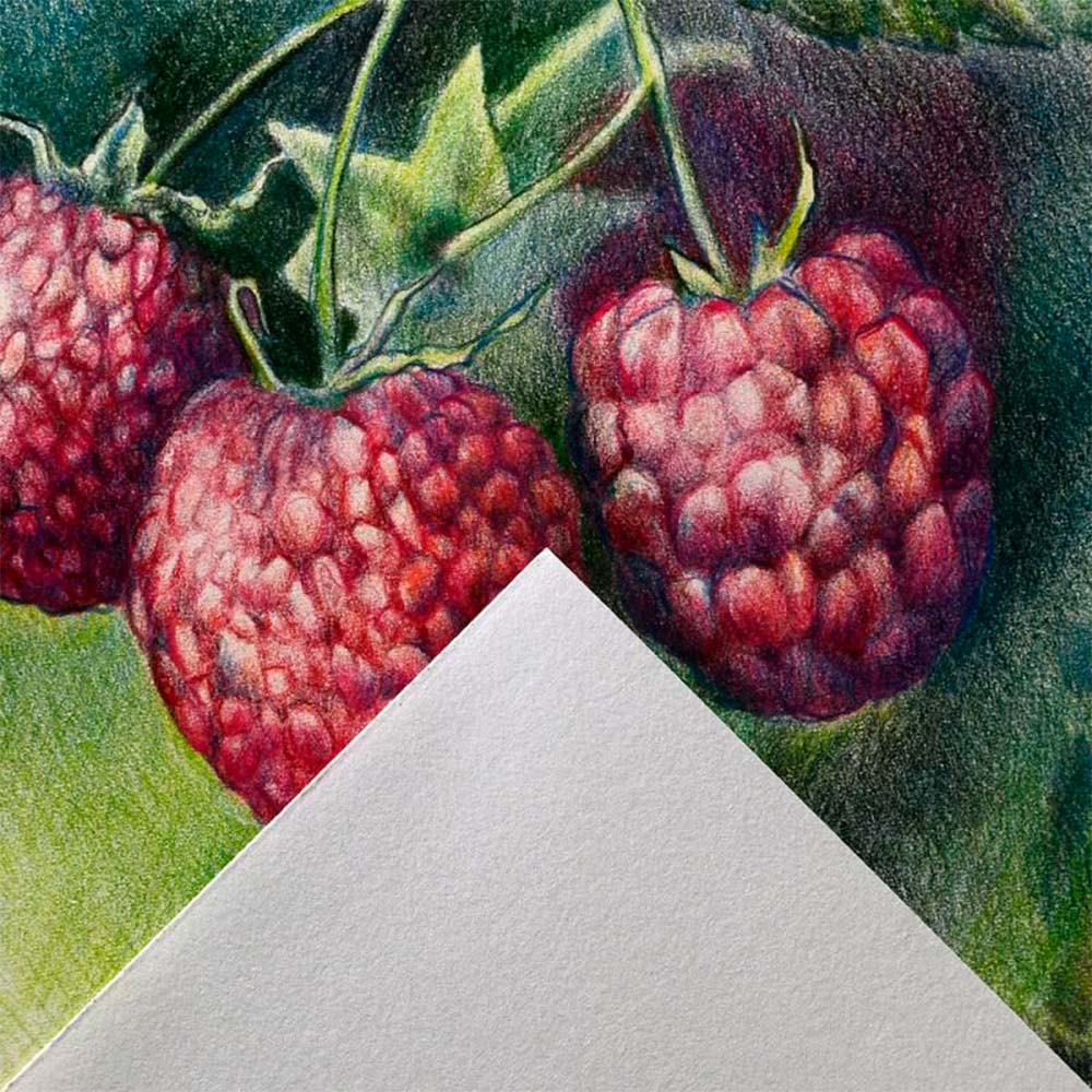 Canson Graduate - Block Dibujo 30 hojas 160 g/m2 - Image 4