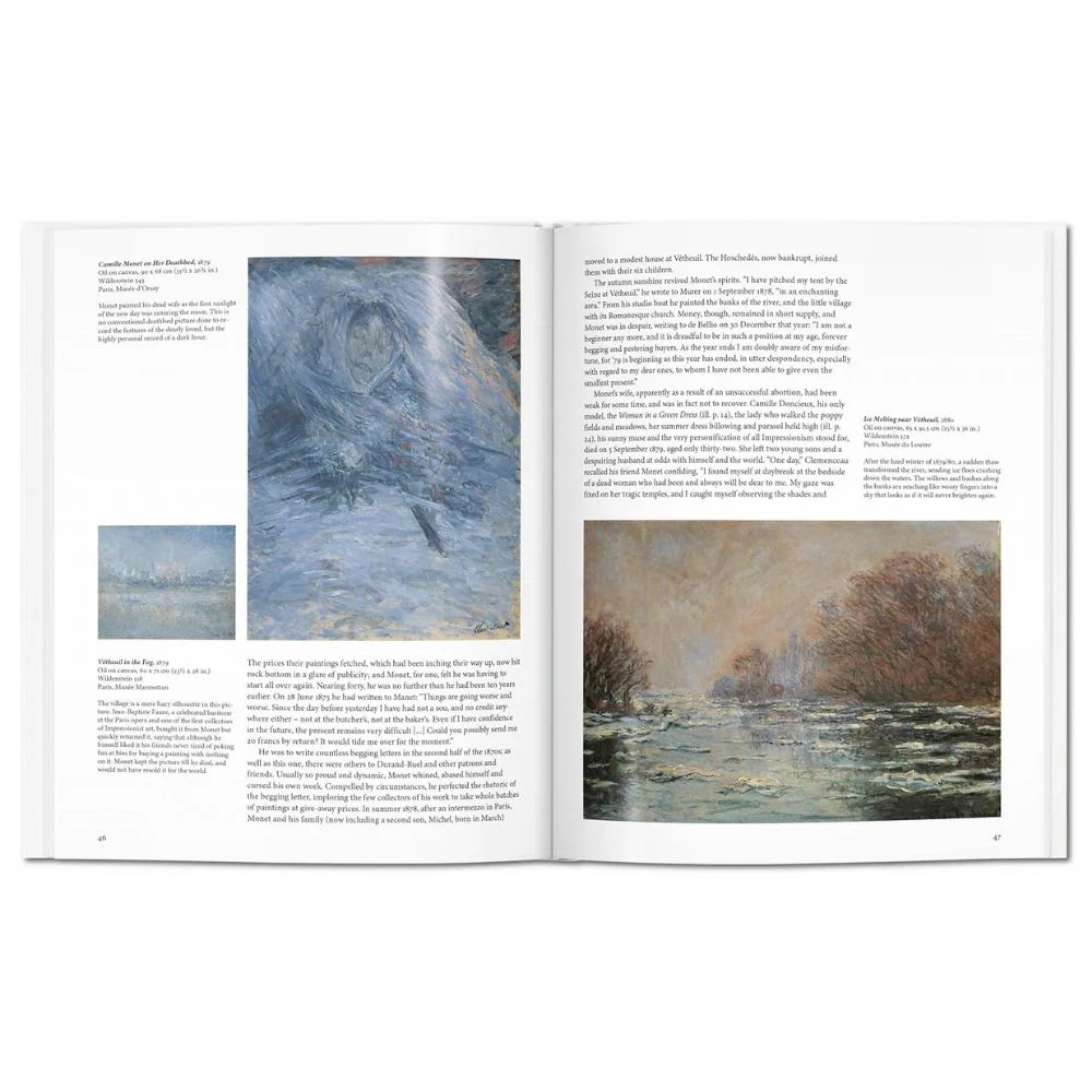 Monet (Basic Art) - Christoph Heinrich - Image 4
