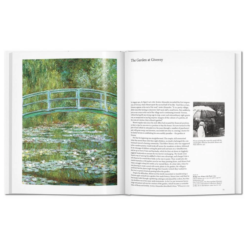 Monet (Basic Art) - Christoph Heinrich - Image 7