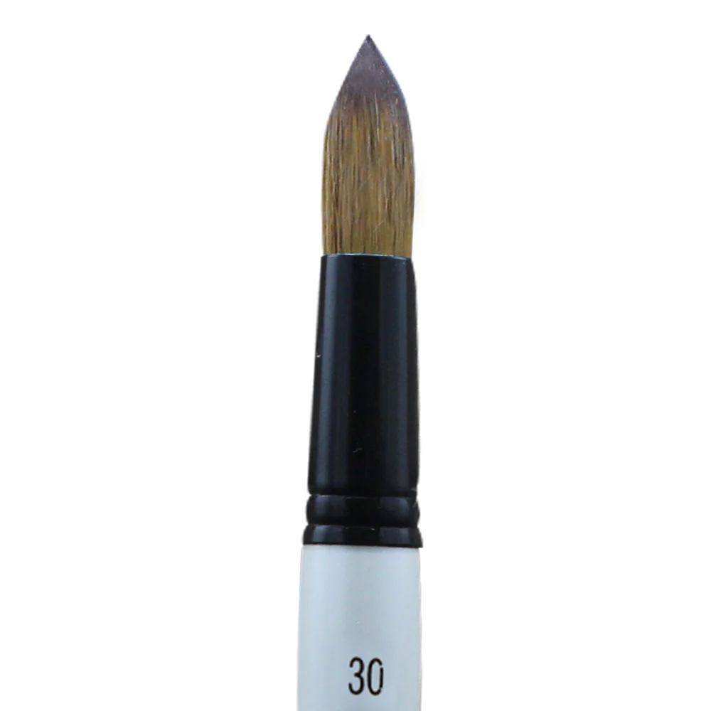 Daler Rowney Graduate - Pinceles Round Wash Pony - Sintético - Image 8