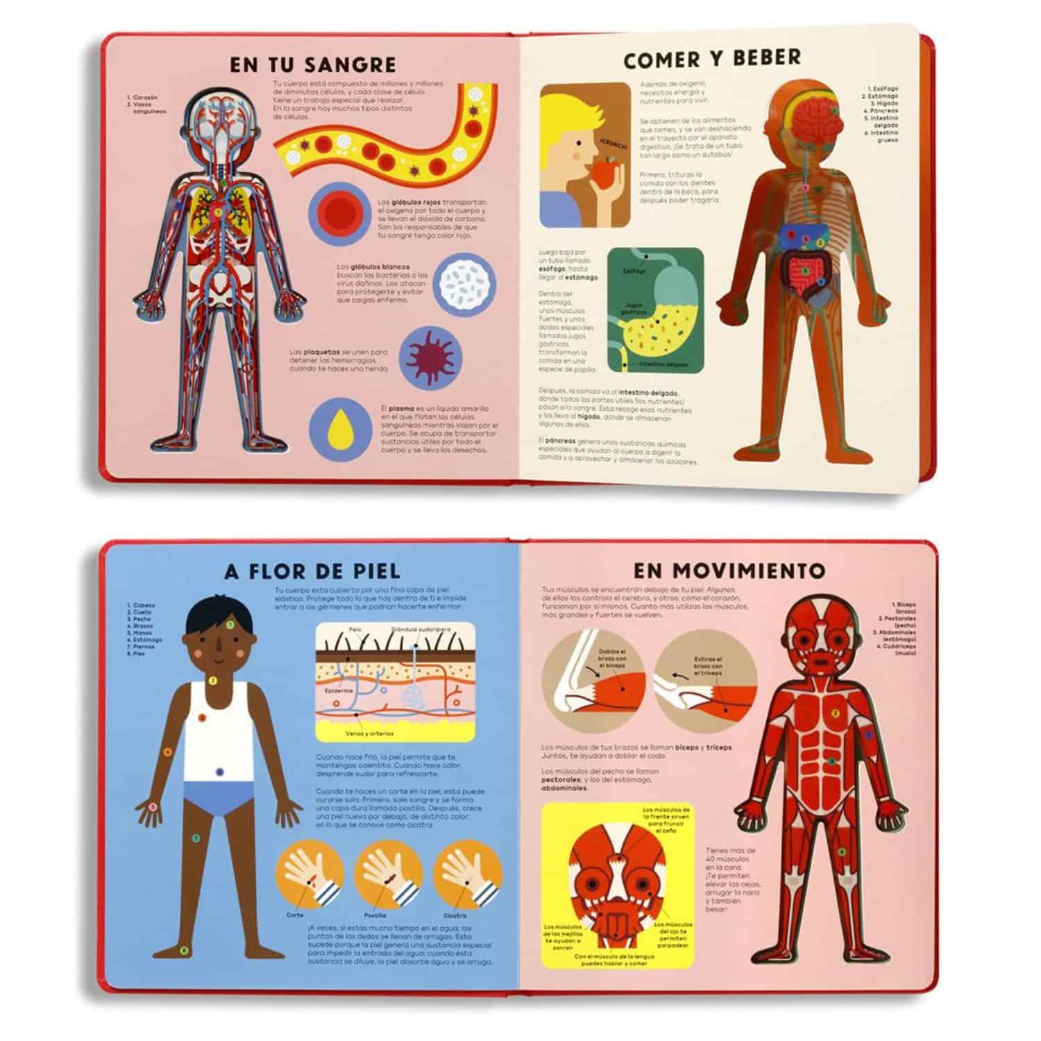 El Cuerpo Humano - Hannah Alice - Image 3