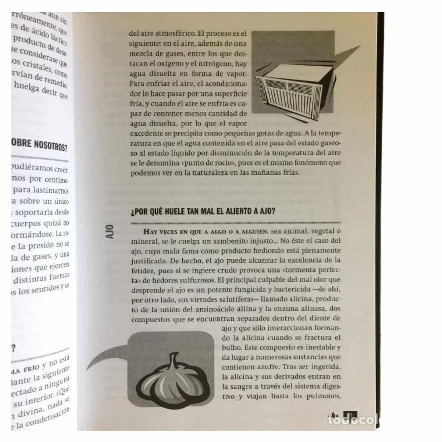 El Libro de los Porqués - Irene Lara - Image 2