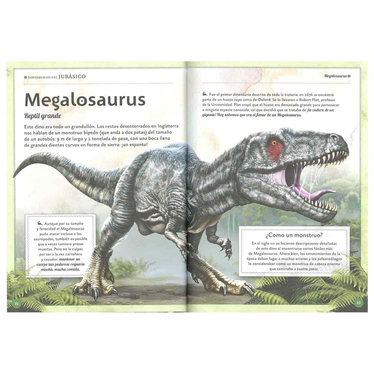 El Magnífico Libro de los Dinosaurios - Varios Autores - Image 3