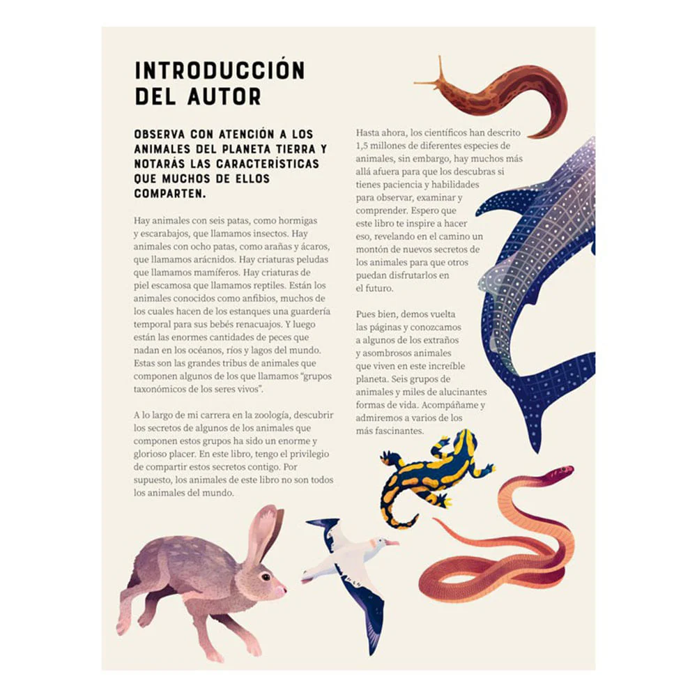 Enciclopedia de los Animales - Jules Howard - Image 2