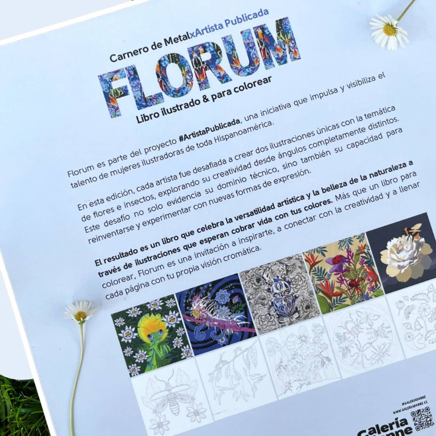 Florum - Carnero de Metal - Image 4