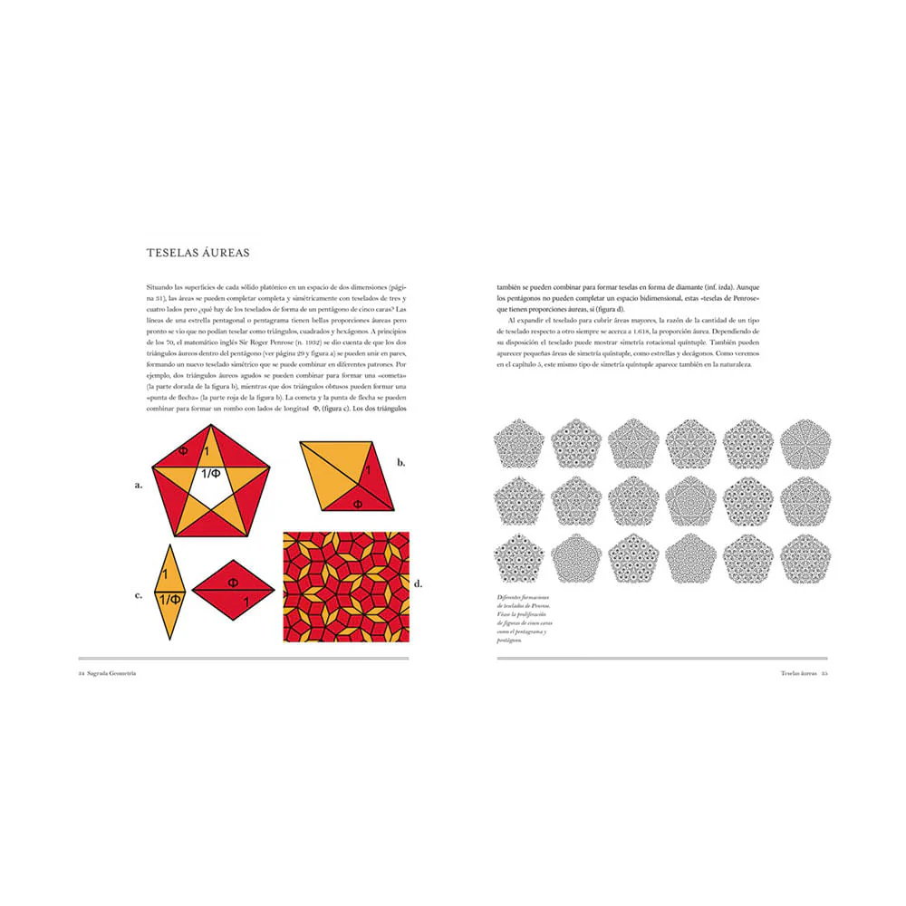 La Proporción Áurea - Gary B. Meisner - Image 5