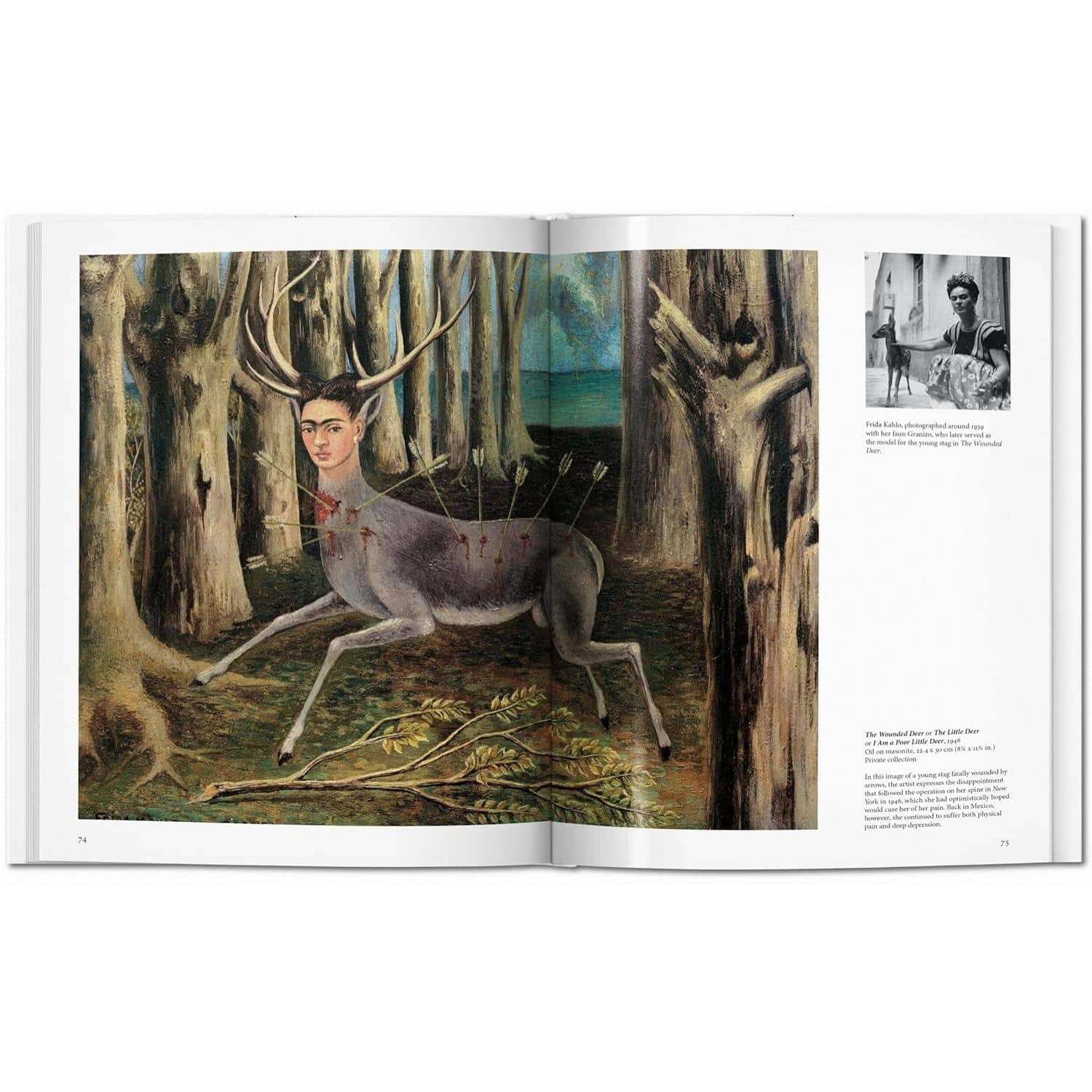 Kahlo (Basic Art) - Andrea Kettenmann - Image 7