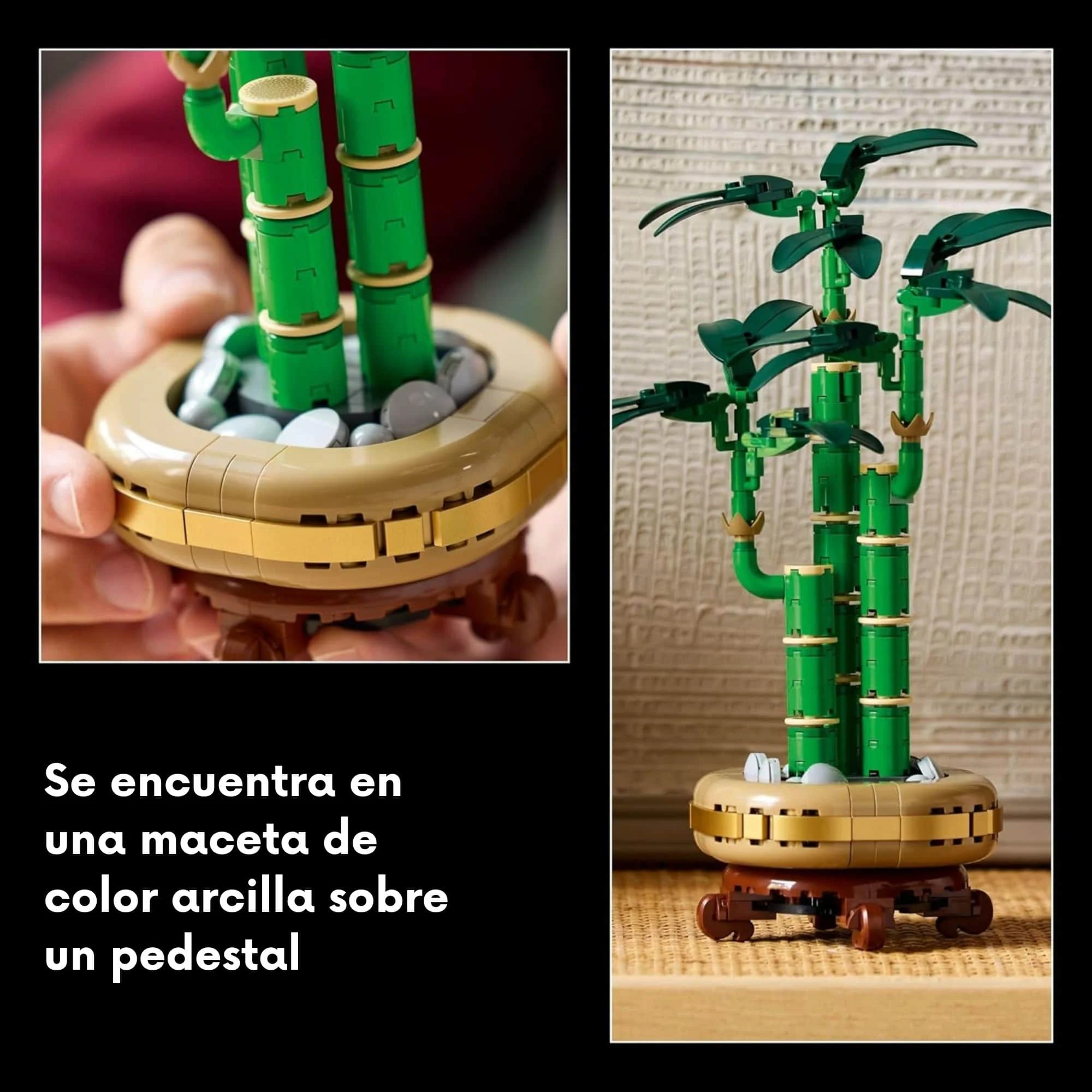Lego Botanicals - Juego de Bloques Bambú de la Suerte - Image 6