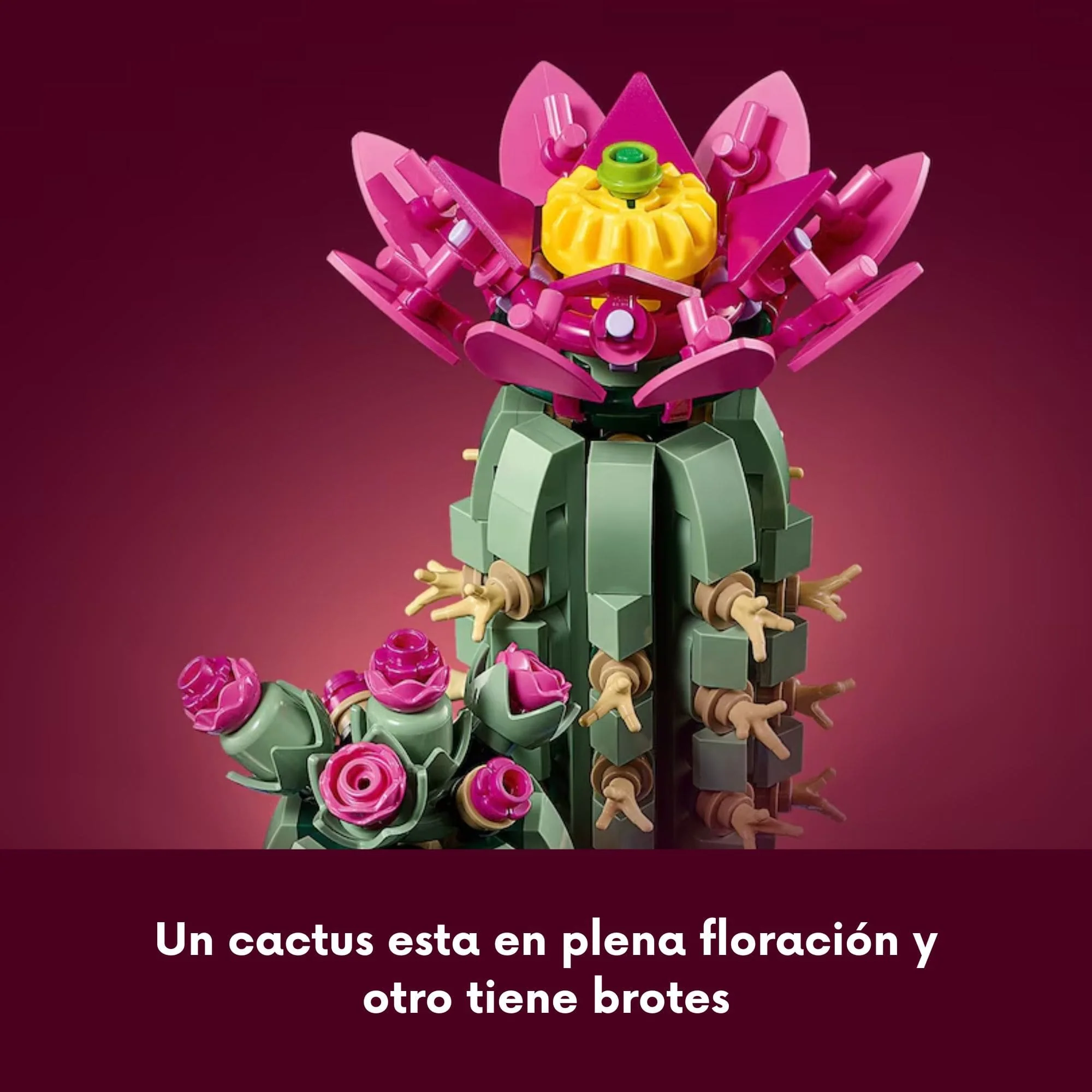 Lego Botanicals - Juego de Bloques Cactus en Flor - Image 6