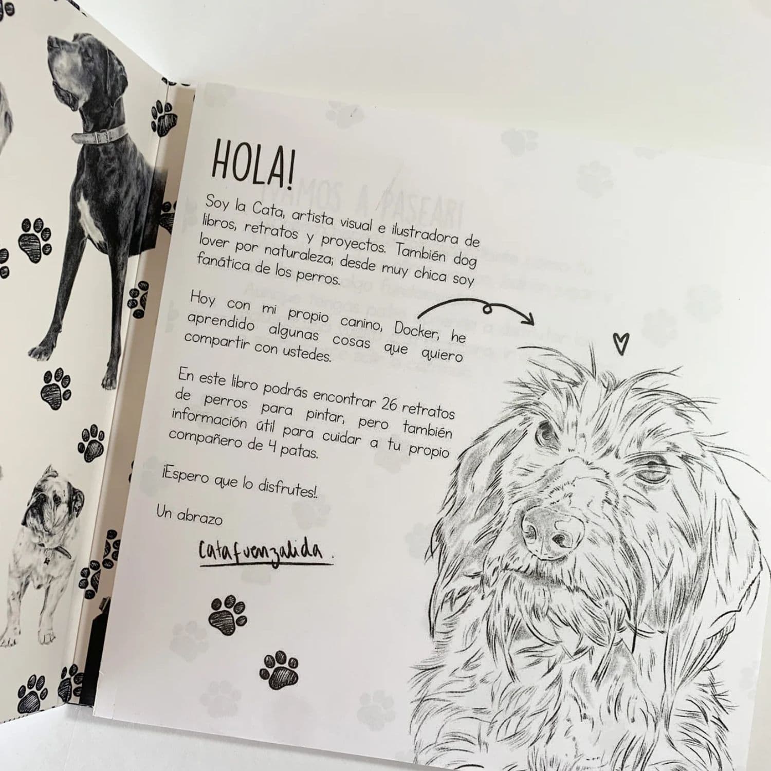 Perros - Cata Fuenzalida - Image 2