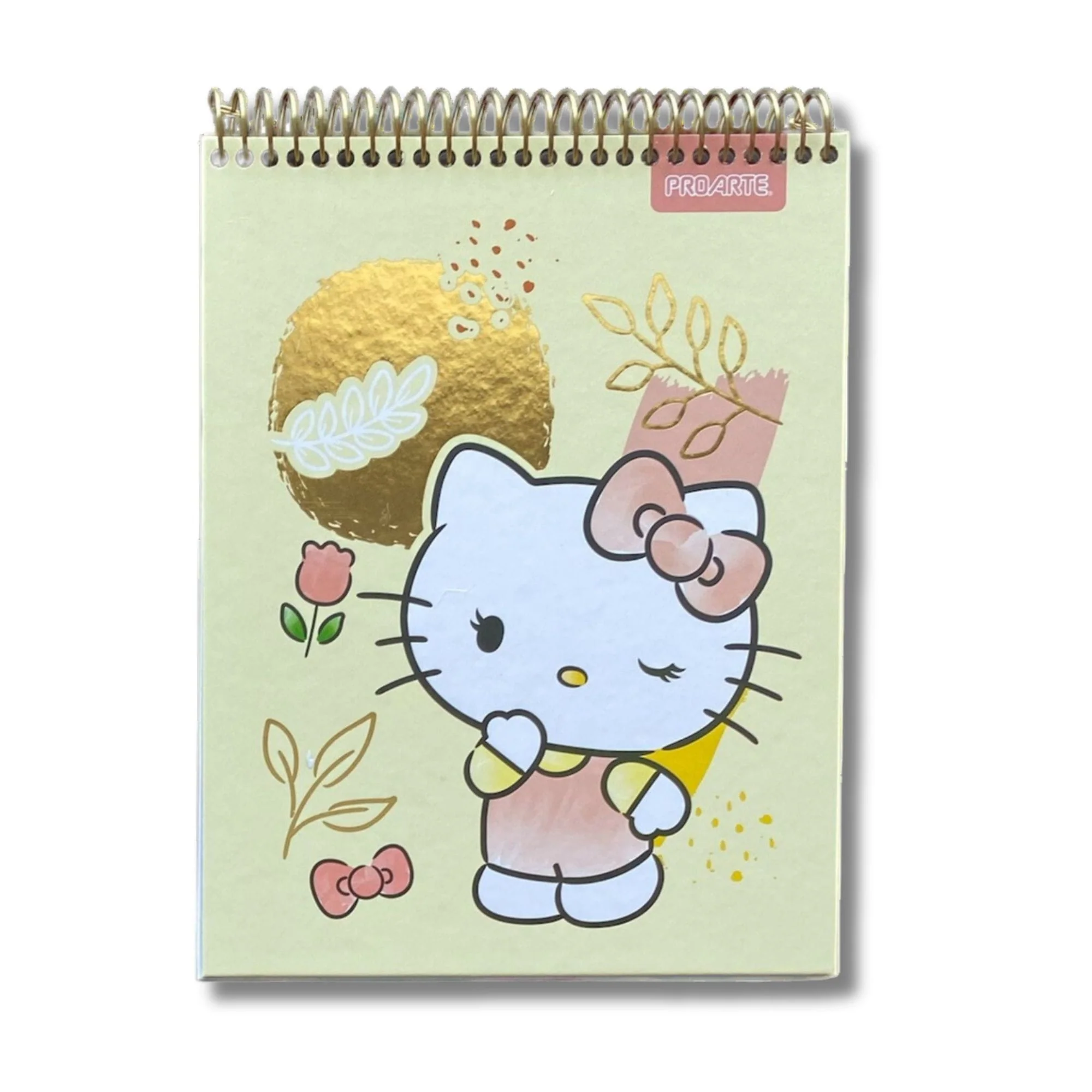 Proarte - Croquera Hello Kitty 80 h - Image 8