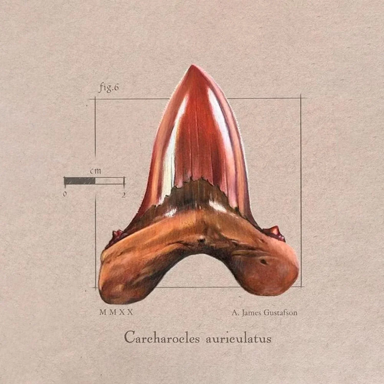 Strathmore Toned Tan - Croquera 118 g/m2 - Image 5